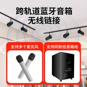 Magnetic Track Bluetooth Ceiling Speaker Embedded Store Background Music Low Bass Cannon Metal Material HiFi Sound Effect