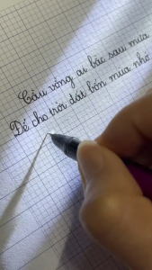 Bút Mực Sao Thiên S125 Ngòi Kim Tinh Êm Trơn Vát Cạnh