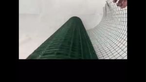 PVC Coated Welded Wire Mesh in Rabbit Cage PVC Wire Mesh For Home Fence and Chicken Cages Chicken Wire Small Per Cage Green Mesh Plant Fence Wire Mesh