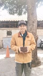 กระเป๋าสตางค์ จระเข้สองพับสั้น เป็นหนัช่วง ข้างท้องจระเข้ สีนํ้าตาลเม็ดมะขาม