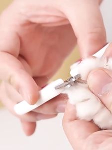 ✂️[ส่งฟรี] อุปกรณ์ ที่ตัดเล็บ แมว สุนัข หมาที่ตัดเล็บแมว กรรไกรตัดเล็บแมว กรรไกรตัดเล็บสัตว์ ทรงกลม ป้องกันการตัดไปที่เส้นเลือดของแมว