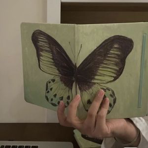 Retro Green Butterfly Blank Page Daily Planner Notebook A5A6 Size High Aesthetic Value INS Style Business Stationery Supplies