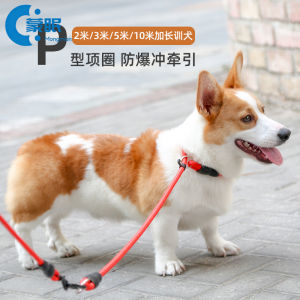 Large Dog Leash Nylon Extendable Traction Rope Training Collar for Golden Retriever Teddy Small Corgi Border Collie Medium Dogs