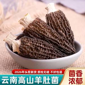 Wild Suitable for Kids and Family Soup Ingredient Morel 500g