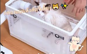 แมว สัตว์เลี้ยง พับ เครื่องเป่าสัตว์เลี้ยง กล่อง ไดร์เป่าผมแมว เครื่องเป่าผมสัตว์เลี้ยง ระบบทางเดินหายใจ pet hair dryer