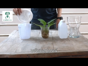 กระชอนตาข่ายไนล่อนความละเอียดสูง ความถี่ 400 mesh กรองเศษตะกอน ในน้ำที่ใช้ปลูกต้นไม้ นำน้้ำกลับมาใช้ใหม่ ประหยัดน้ำ