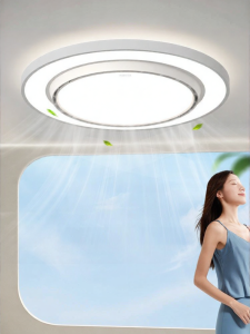 Changhong | Ceiling Fan Light Large