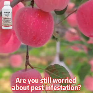 ✨Pest killer✨Abamectin Insecticide 1000ml Broad-spectrum insecticide insecticide spray insect killer
