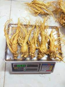 Sâm Tươi từ nhà vườn Hàn Quốc size 5 củ/1kg – Dùng ngâm mật ong hoặc pha trà hàng loại 1