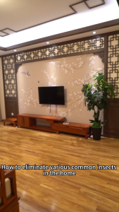 5 Boxes (5 Sheets Each) KongXiao Physical Sticky Trap House - High-Efficiency Insect Sticky Board Cockroaches & Mosquitoes All Caught Essential Home Insect-Catching Tool