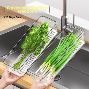 Yisheng | Moisture & Mold Preventing Food Storage Box