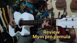 Gitar PEMULA: Classic/Klasik Akustik & Elektrik Termurah Bergaransi Free Packing Kayu