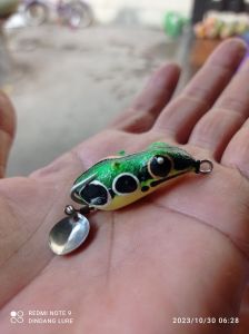 SF Dindang LITI  4 cm