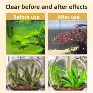 MONLEYTA | Algae Remover Aquarium苔藓去除剂 Brown Algae Green Algae Thread Algae Killer Special Purification Tablet Fish Tank