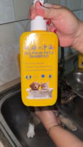Pet Dog Cat Natural Shampoo 300ML Antibacterial Shower Gel for Cat and Dog Beauty Hair Pet Grooming Sabun Syampu Kucing Pet Skin Problem Multifunctions Shampoo Nano Sulphur Skin sensitive Ubat Kurap Shampu