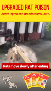 ❌️100% mortality rate❌️ Rat killer poison Ubat tikus paling kuat Kills smart mice Racun tikus paling kuat cepat mati Mice die in a litter Racun tikus mati 3 saat Mouse killer rat poison Rat Repellent 老鼠药