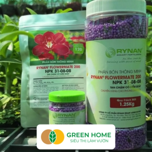 Phân Tan Chậm GreenHome Rynan 200 Bao 500gr Dành Cho Giai Đoạn Phong Lan Cây Con Kích Chồi