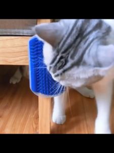 GATA Self Grooming Cat Brush Groomer Face Scratcher Shedding Self Cleaning Wall Corner Massage Comb Indoor Pet Toy
