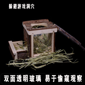 Hamster Wooden Toy Landscaping Supplies Swing Tunnel DIY Shelter Wooden House Ladder Caveolae Wooden House