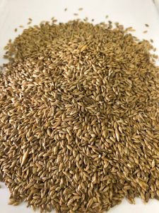 Hạt láng dài cho chim cảnh ăn đóng gói 1kg