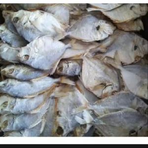ikan asin petek campur besar dan sedang ikan asin kering hasil langsung dr laut frees harga 1 kg dan 500 gram kuwalitas premium terbaik