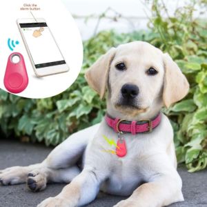 OUTOPEN Portable Pet Bluetooth GPS Tracker Plastic Anti-lost Alarm GPS Locator Fashion Bluetooth 5.0 Smart Tracker For Dogs Cats ShihTzu