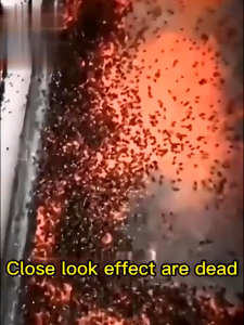 🔥Works In 3 Minutes🔥 Fly Killer Flies Fly Killer Powde ly bait granular Fly Attractant Medicine Fly Killing Bait Powder Fly Control Attractant Fly Control Flying Insect Killer Pamatay sa langaw Pampatay ng langaw Fly Repellent