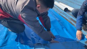 ☔Color steel tile waterproof tape☔ leak repair and heat insulation material simple operation high and  low temperature resistance waterproof tape sticker heat resistant tape Color butyl Waterproof  tape Waterproof roof tape
