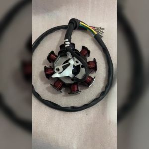 TRS Spull 8 Pole Lubang 3 Spull Pengapian Appktm Jialing Motor Roda Tiga Spareparts Original TRS SEMARANG