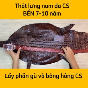 [FREE SHIP] Thắt lưng da cá sấu liền nguyên con. [BẢN RỘNG 3.5cm CÓ GAI RẤT ĐẸP]