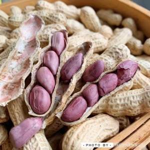 Crispy Boiled and Dried Peanuts Seven Colors Purple Skin Rich Selenium Black