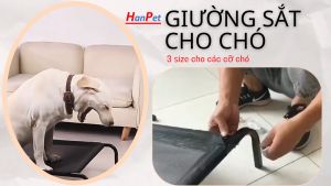 Giường chó - Giường sắt chịu lực cho chó mèo
