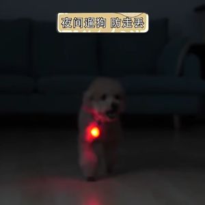 Popular LED Pet Luminous Pendant Dog Tag Cat Accessories Dog Walking Flashing Light Dog Cat Collar Pendant Safety Light