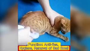 Pet Spray Cat Dog Anti Fleas Lice Mites Ticks Spray 120ML / 500ML