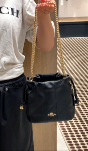 Origina bag COACH Ladies FAYE Mini Crossbody Bag Shoulder Bag Commuter New CBD69