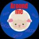 Around me sheep