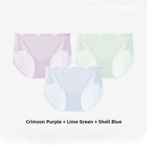 Secret World Womens Ice Silk Seamless Triangle Panties Breathable Antibacterial Cotton Crotch Cool Feeling Underwear