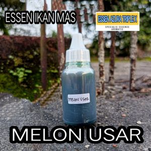Essen oplosan MELON USAR untuk kolam lomba galatama galapung kilogebrus harian