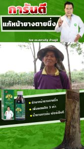 ปุ๋ยโดส -ส่งฟรี!! Dose แก้หน้ายางตาย เพิ่มผลผลิต ลดเชื้อรา เปลือกนิ่มสมบูรณ์ยั่งยืน ฮอร์โมนพืช อาหารพืช ของเเท้จากโรงงาน