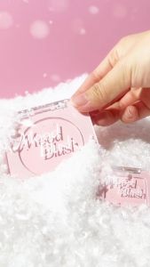 FOCALLURE Soft Matte Single Color Blush Ultra-Fine Smooth Texture Long Lasting Dual Hydration Ingredients Beginner Friendly