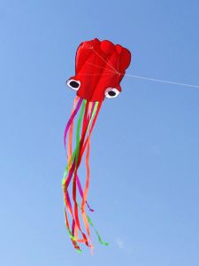Weifang Kite New Childrens Soft Body Octopus Cartoon Kite No Frame Easy to Fly under Light Wind Conditions