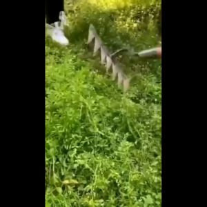 AUK  Durable Steel Hardened Handheld Weeding Tool Shovel Rake and Digging Hoe for Gardening