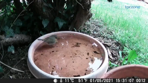 Kamera Jejak Hidupan Liar Ultimate 20MP Kejelasan Imej 1080P HD Rakaman Alat Memburu Kalis sport camera hunting trail camera 狩猎相机 野外监控相机