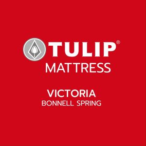 ที่นอน Tulip รุ่น VICTORIA (วิคตอเรีย) ให้บริการระบบบอนเนล์สปริง แบบมาตรฐาน ผ้าทอสีขาวดีไซน์ มีปริมาณหนา 10 นิ้ว