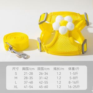 Jiaxun | Dây Dắt Ngực Ngoài Trời Cho Yorkshire Terrier