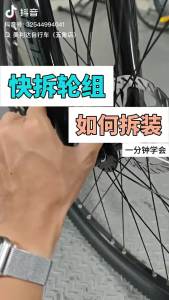SHIMANO | SHIMANO ALTUS DEORE ALIVIO TOURNEY FH HB QC300 Flower Drum Quick Release 32H 8/9/10/11 Speed Original Parts