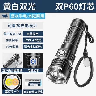 High Brightness Waterproof Charging Diving Flashlight