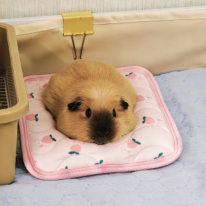 JOSEN LIGHTING | Cool Summer Ice Silk Pad Four Seasons Pet Bed