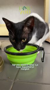 Mangkok Tempat Makan Anjing Lipat Silikon Mangkuk Minum Kucing Foldable Silicone Pet Bowl
