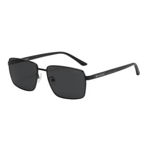 Raydem | Polarized Driving Sunglasses for Men